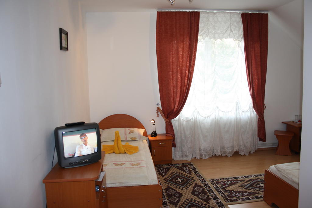 Pensiunea Claudiu Caransebeş Camera foto