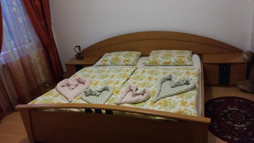 Pensiunea Claudiu Caransebeş Esterno foto